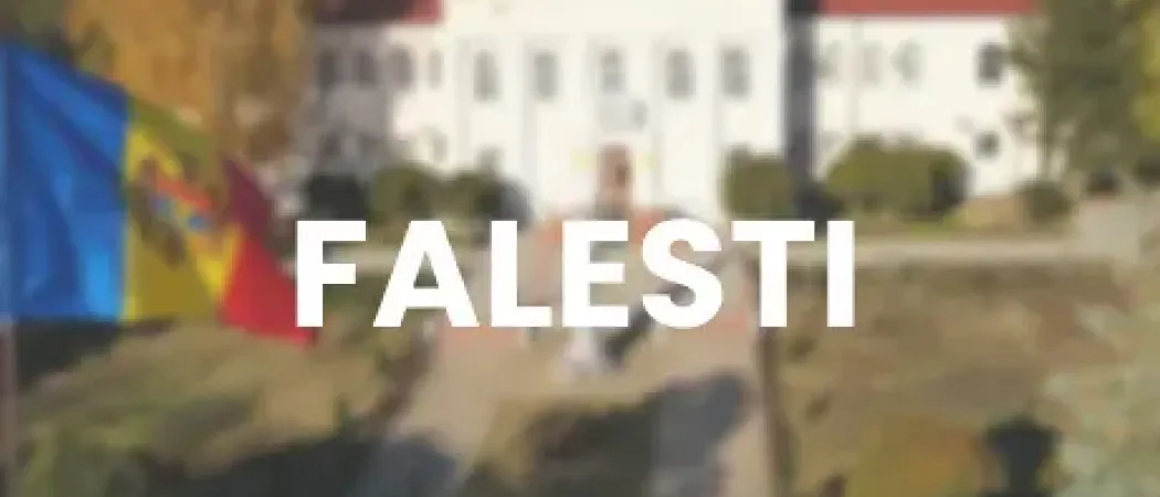 FERESTRE FALESTI