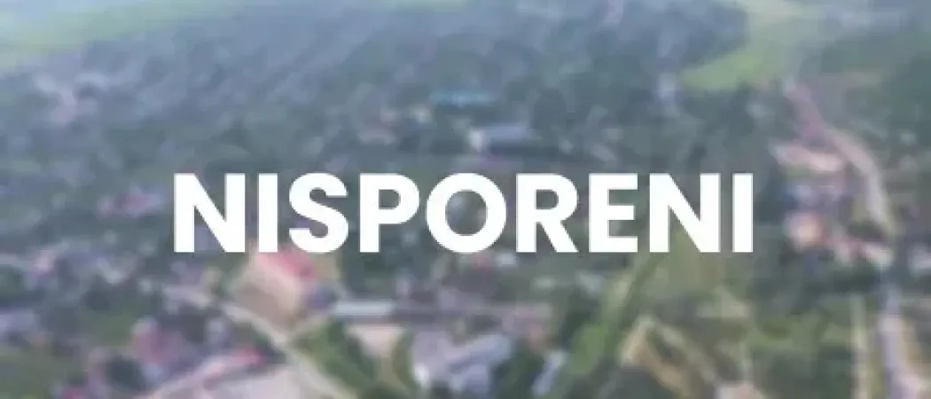 FERESTRE NISPORENI